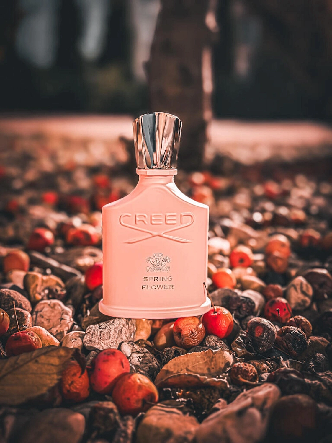 Creed Spring Flower 2023