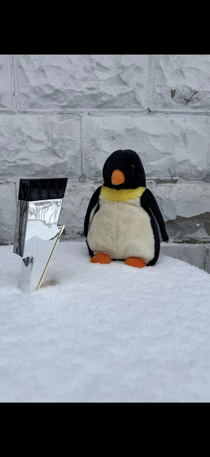 CAROLINA HERRERA Bad Boy Superstars Collector Edition 2021