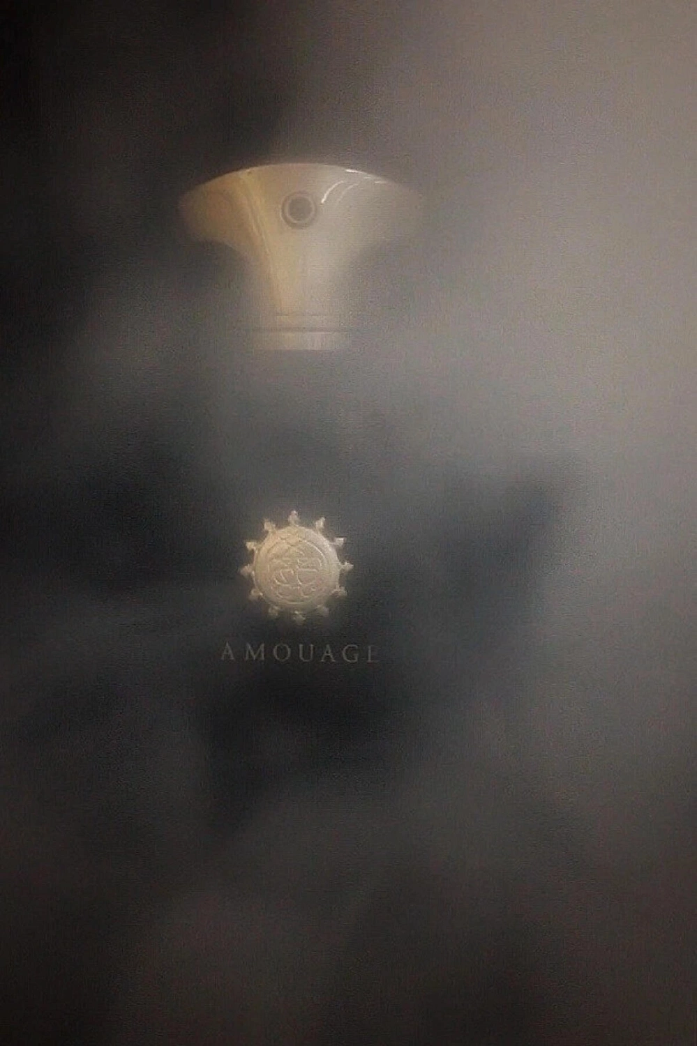 Amouage Memoir Man Amouage Memoir Man