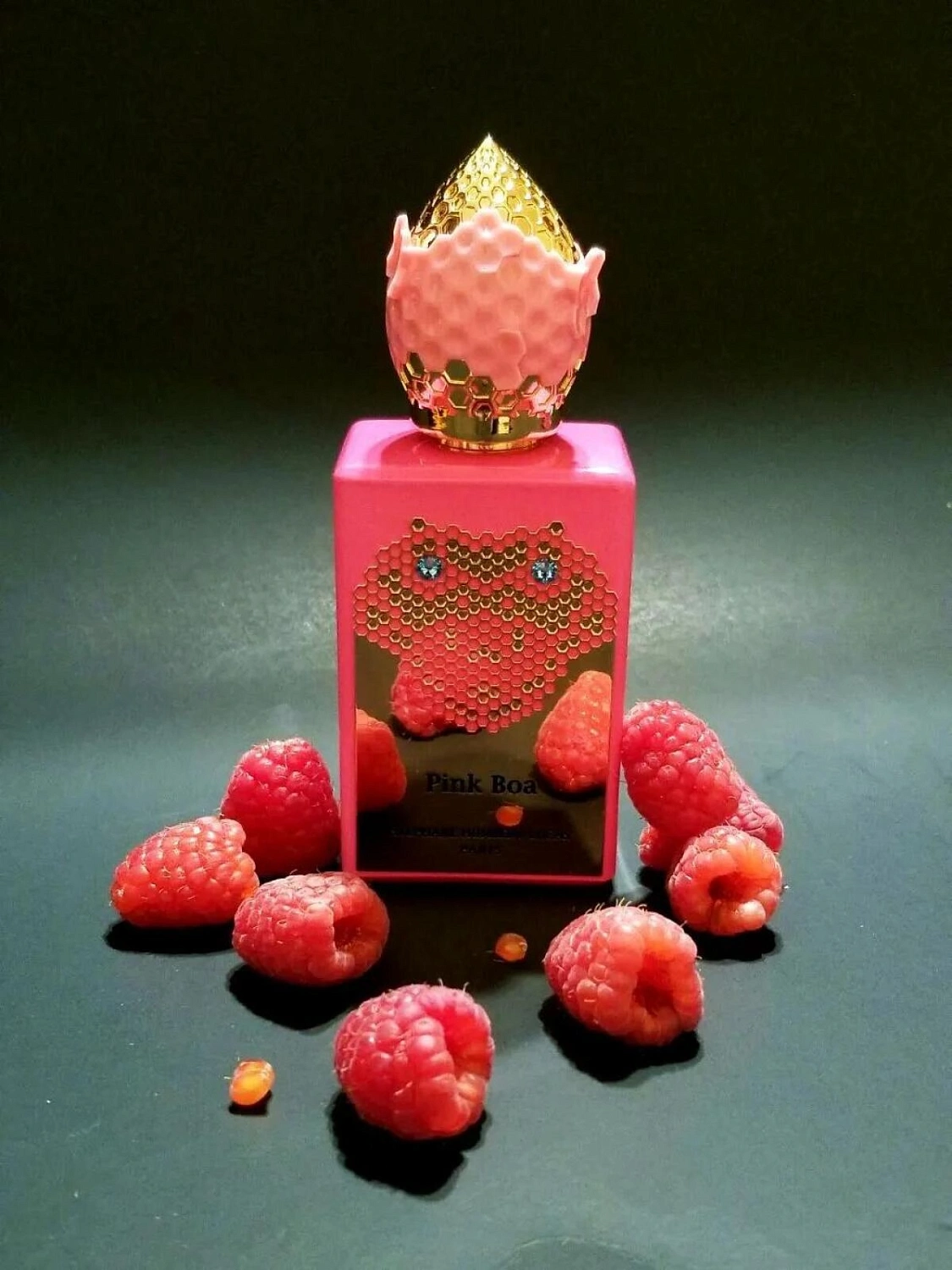 Stephane Humbert Lucas 777 Pink Boa