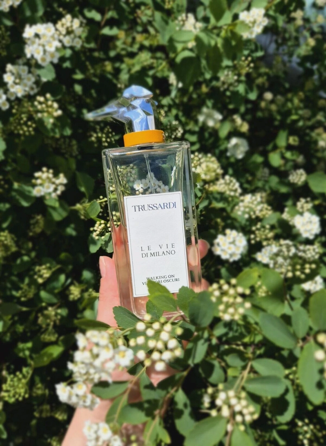 TRUSSARDI Walking On Via Fiori Oscuri