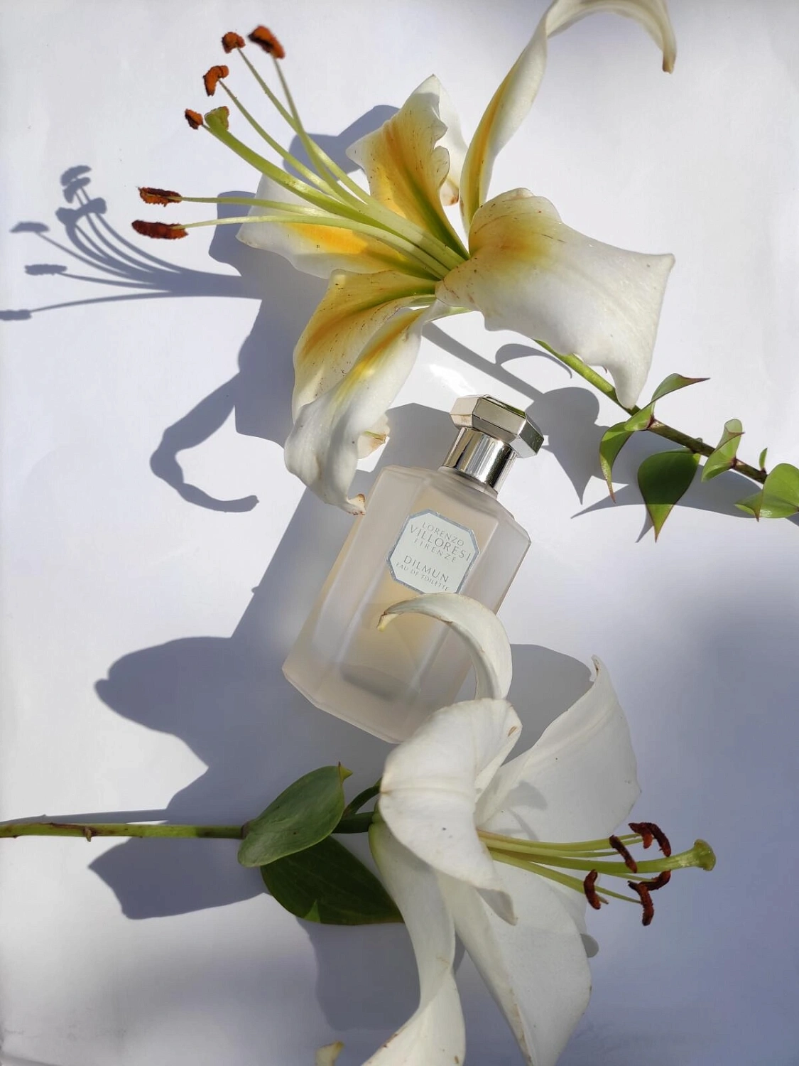 Lorenzo Villoresi Dilmun