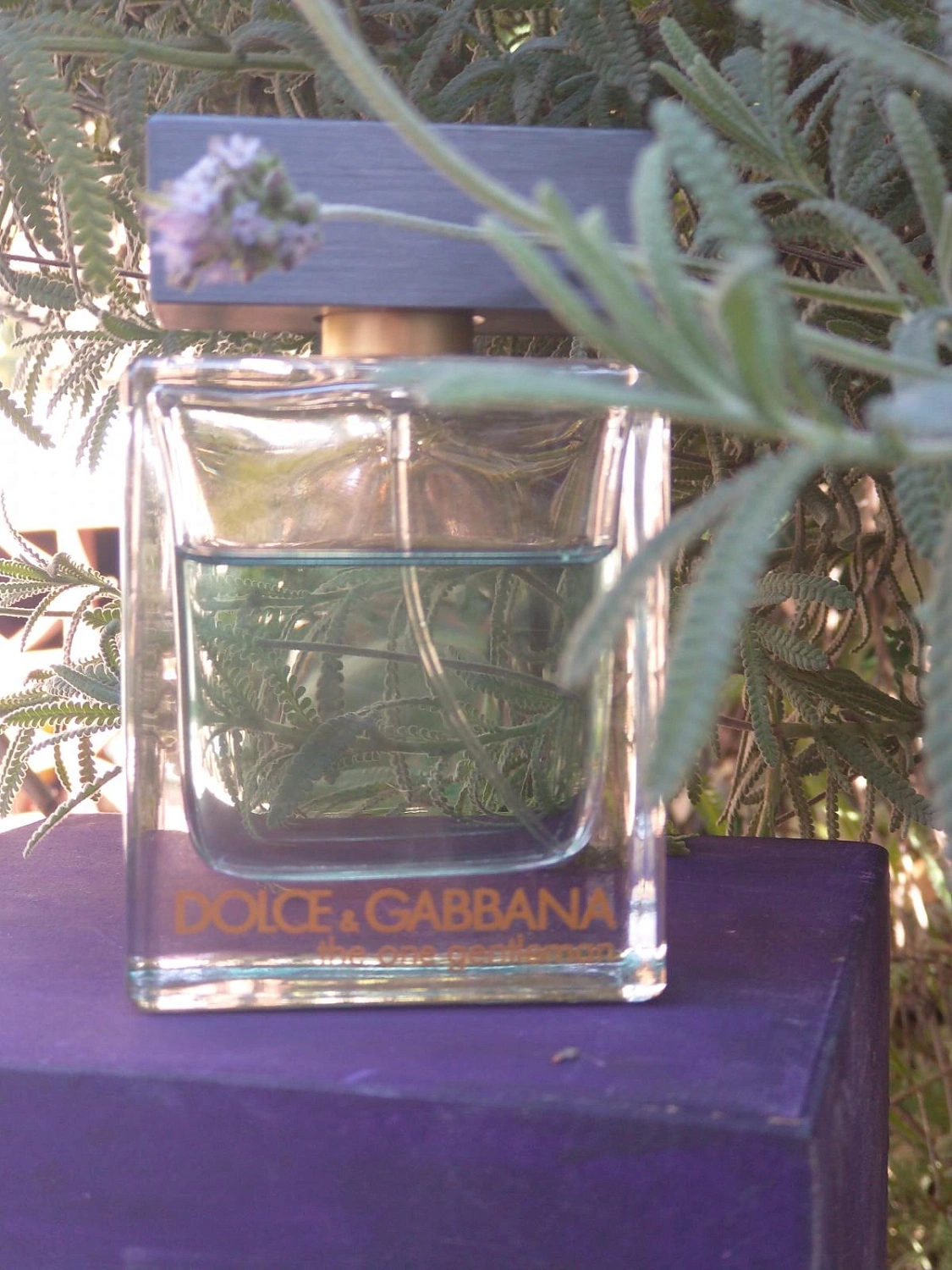 DOLCE & GABBANA The One Gentleman