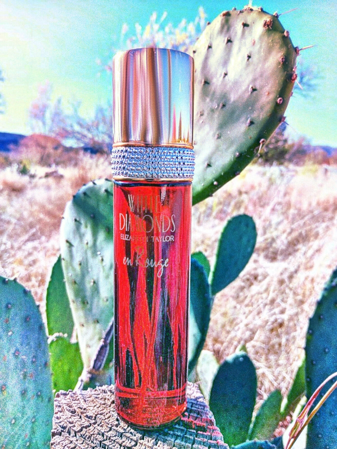 Elizabeth Taylor White Diamonds En Rouge