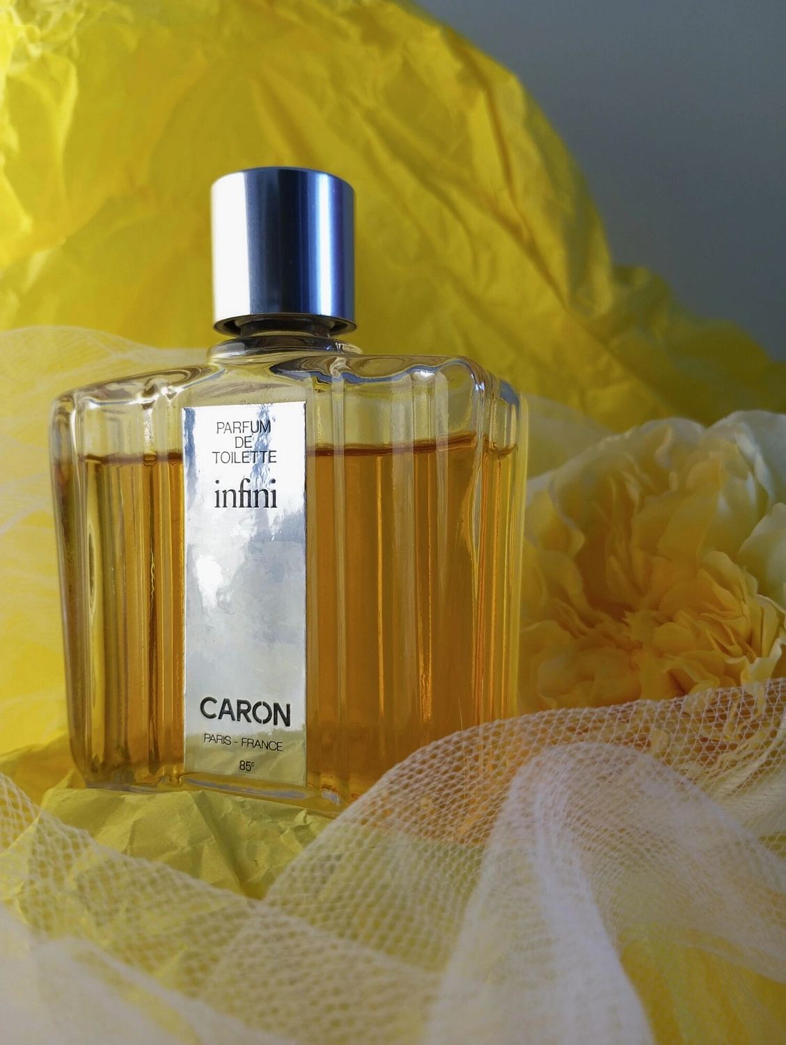 Caron Infini
