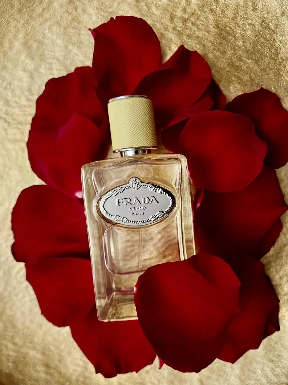Prada Infusion de Gingembre