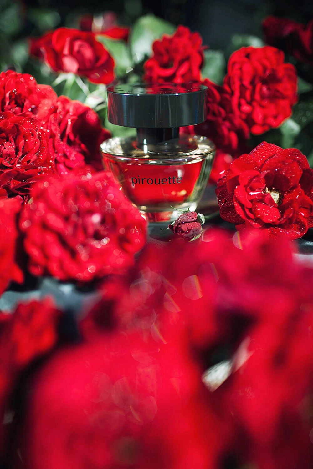 Angel Schlesser Pirouette