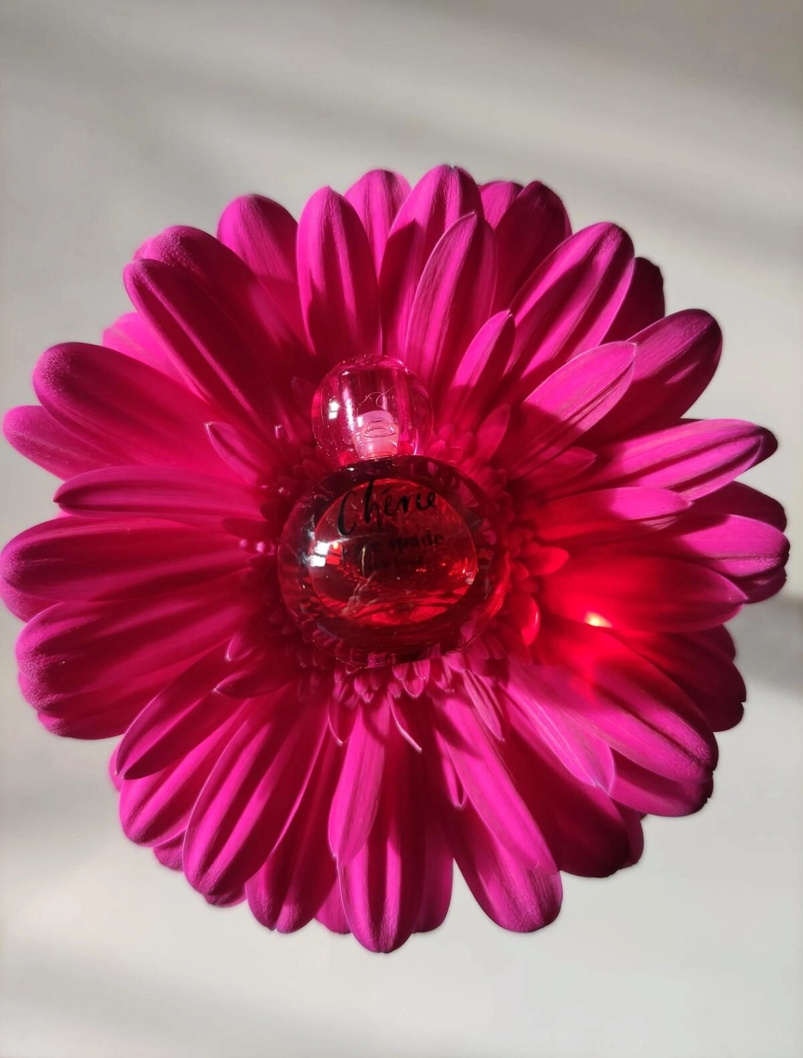 Kate Spade Cherie Kate Spade Cherie
