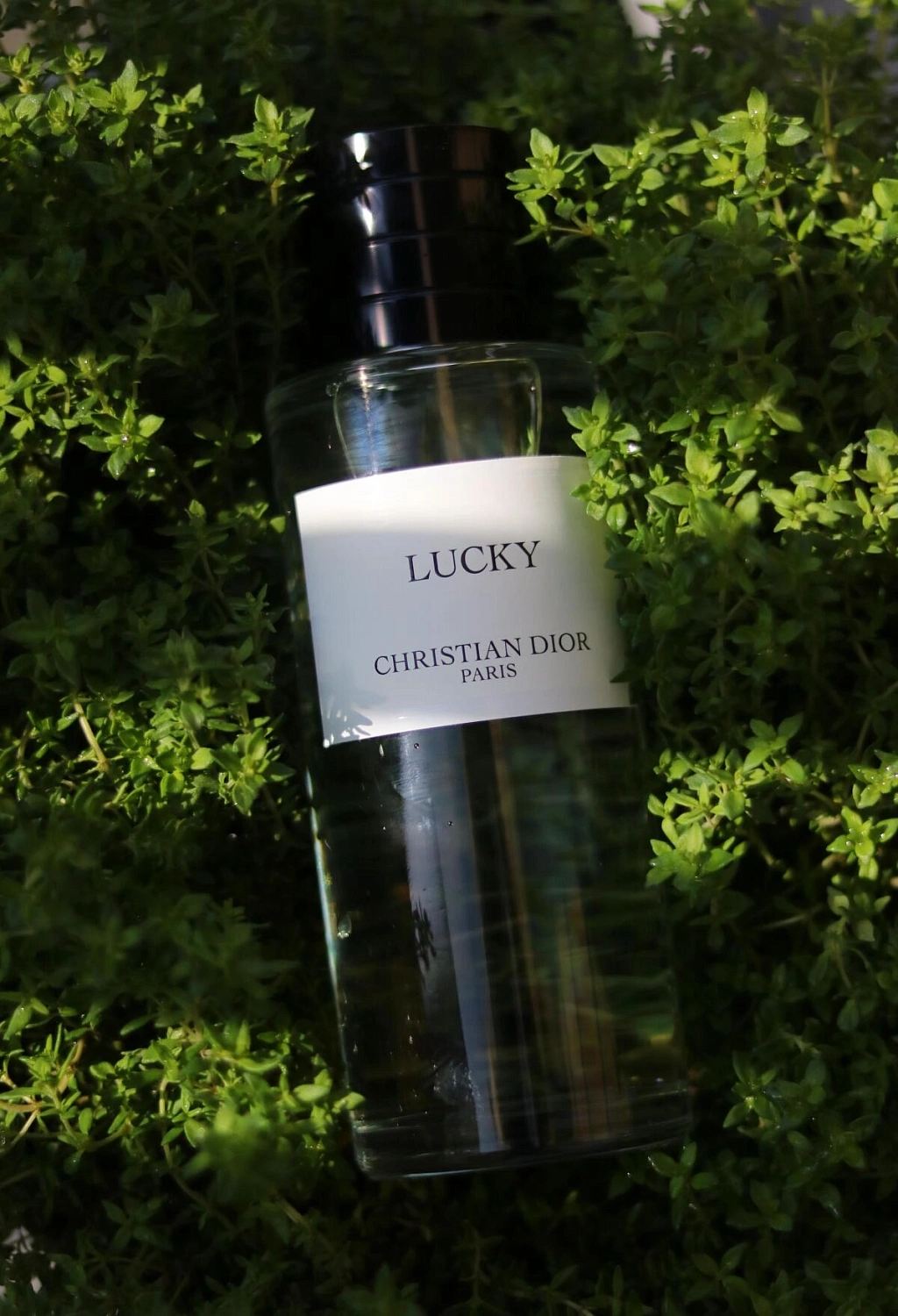 Christian Dior Lucky