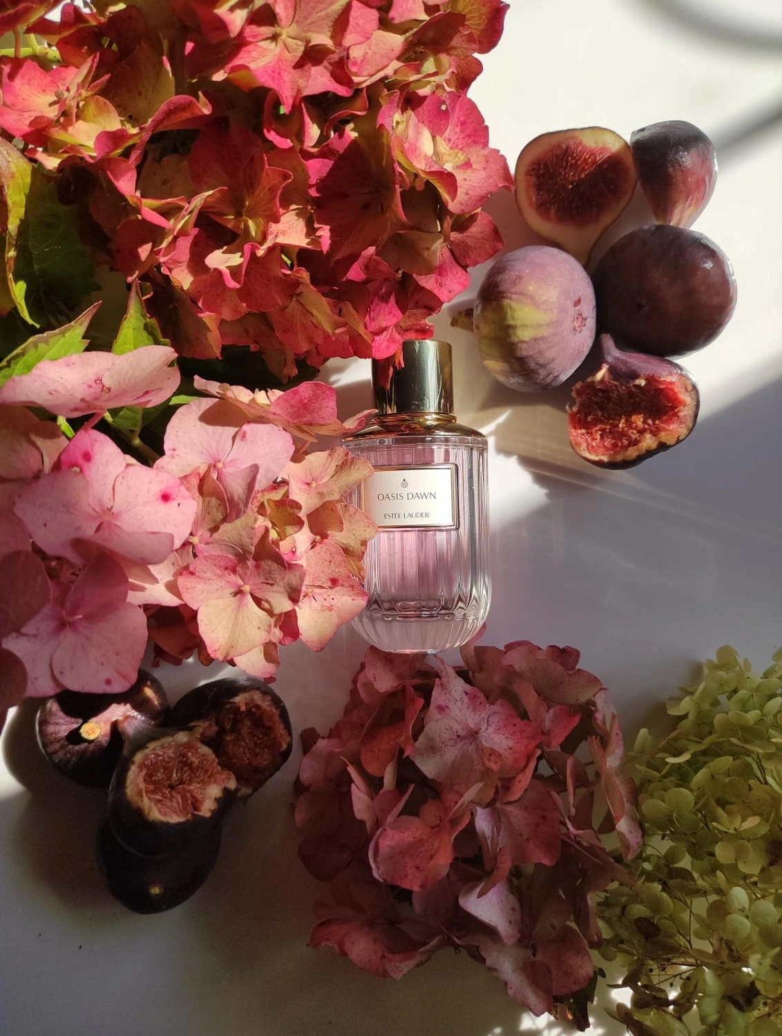 Estee Lauder Oasis Dawn Estee Lauder Oasis Dawn