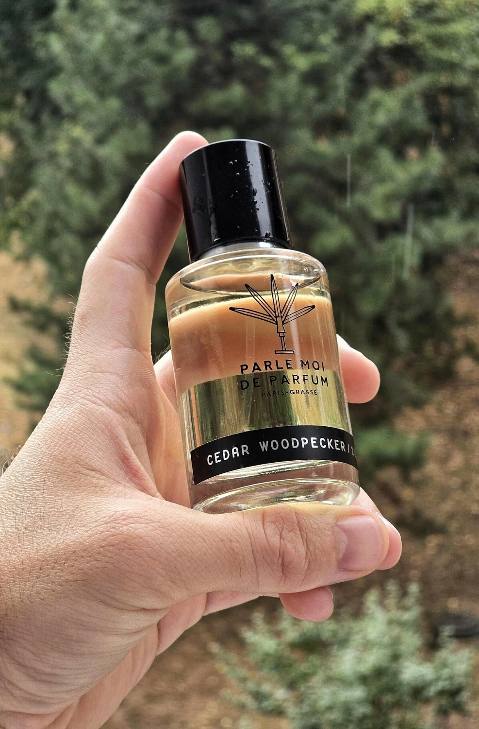 Parle Moi de Parfum Cedar Woodpecker