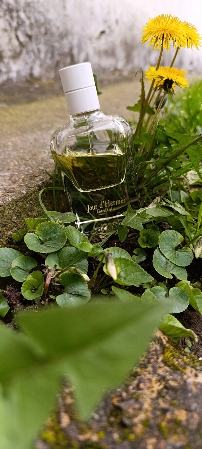 Jour d’Hermes Gardenia