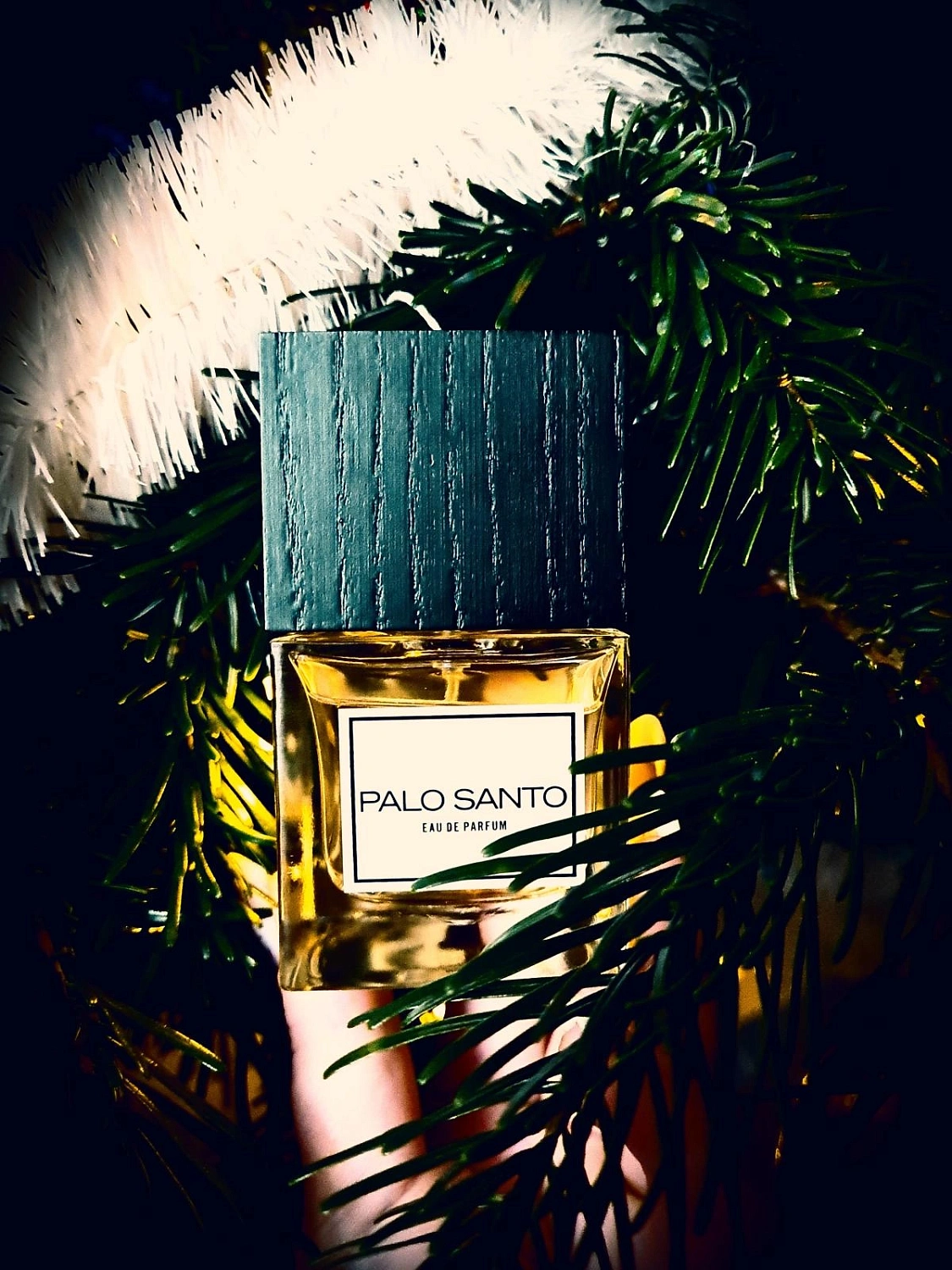 Carner Barcelona Palo Santo
