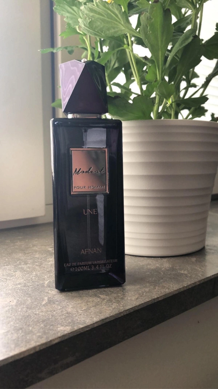 AFNAN Modest Pour Homme Une