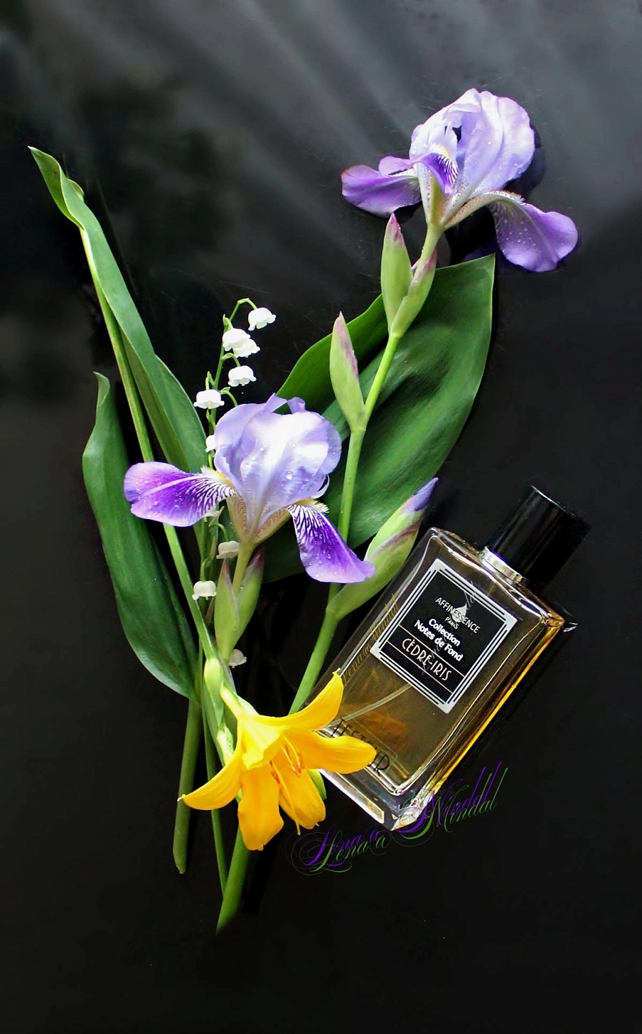 Affinessence Cedre Iris Affinessence Cedre Iris