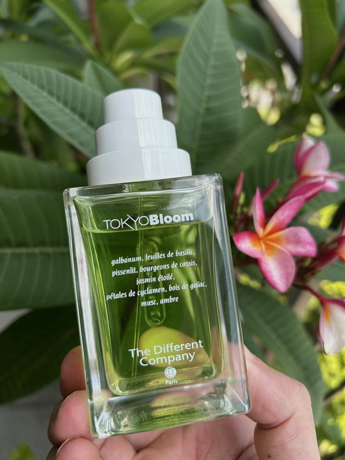 The Different Company Tokyo Bloom