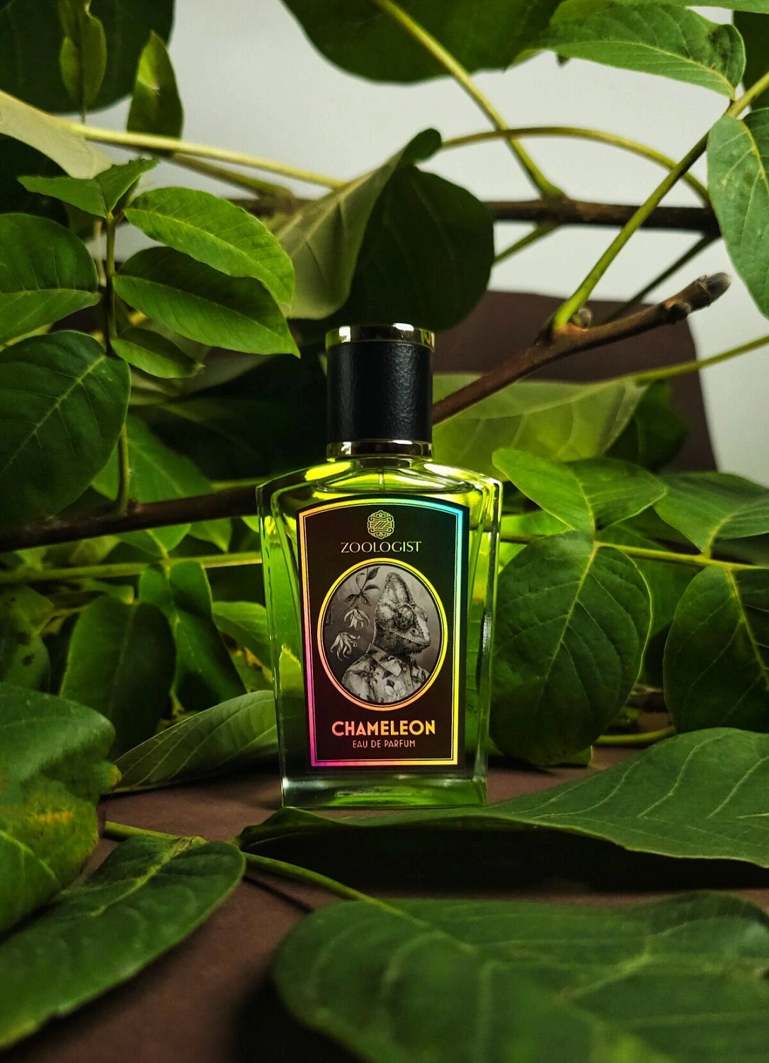Zoologist Perfumes Chameleon