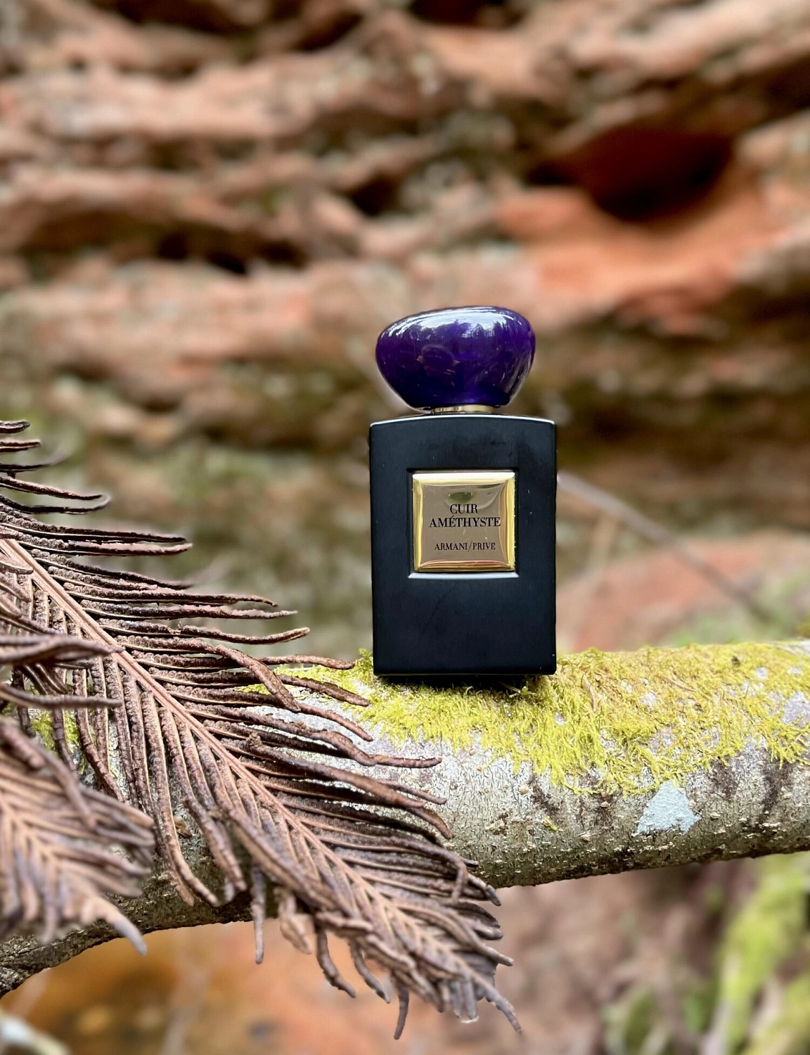 Armani Prive Cuir Amethyste