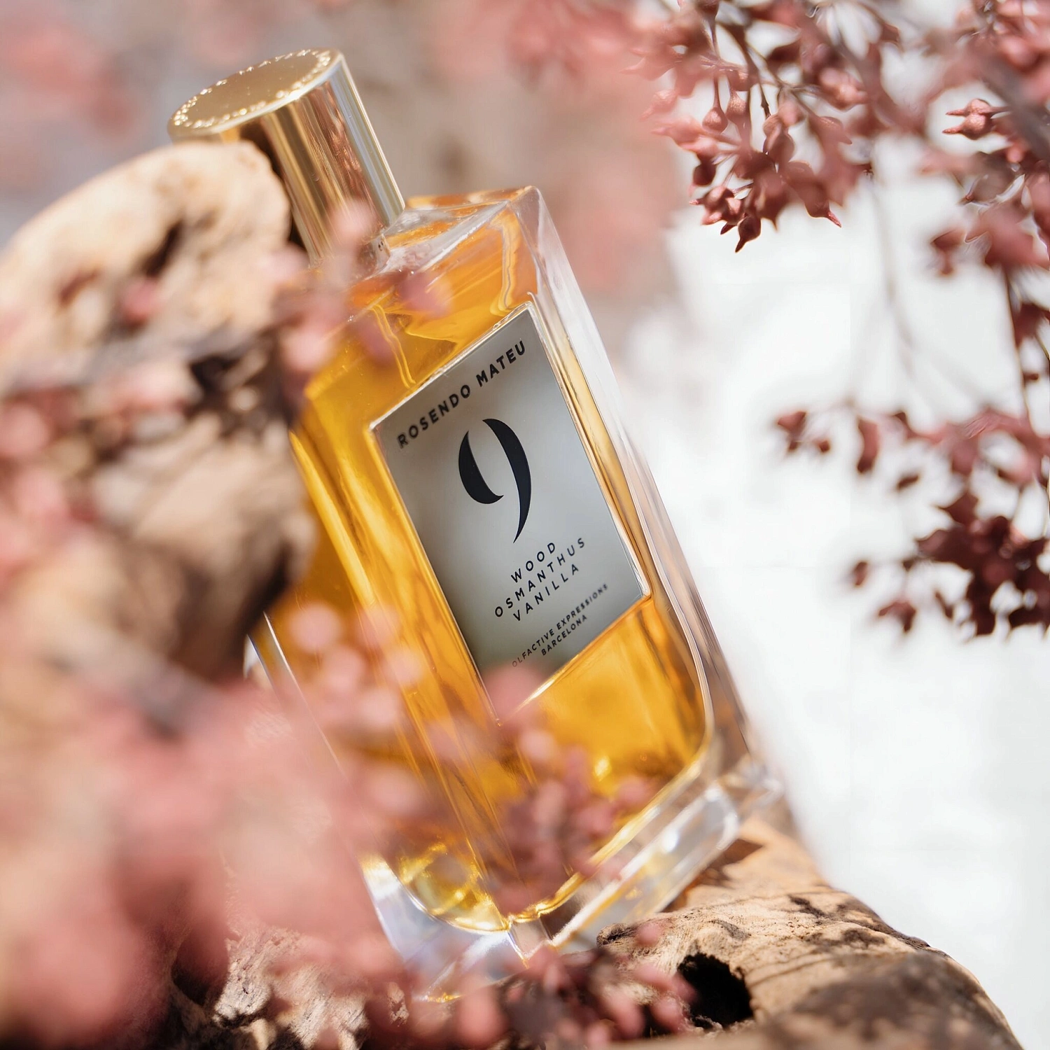 Rosendo Mateu Olfactive Expressions Rosendo Mateu Nº 9 Wood, Osmanthus, Vanilla