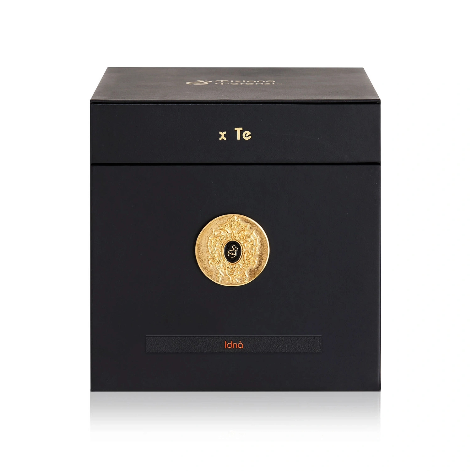 Tiziana Terenzi Idna