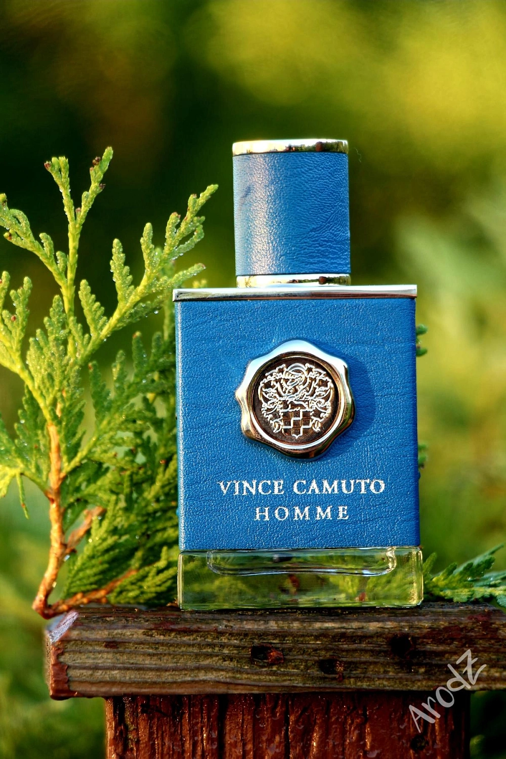 Vince Camuto Homme Vince Camuto Homme