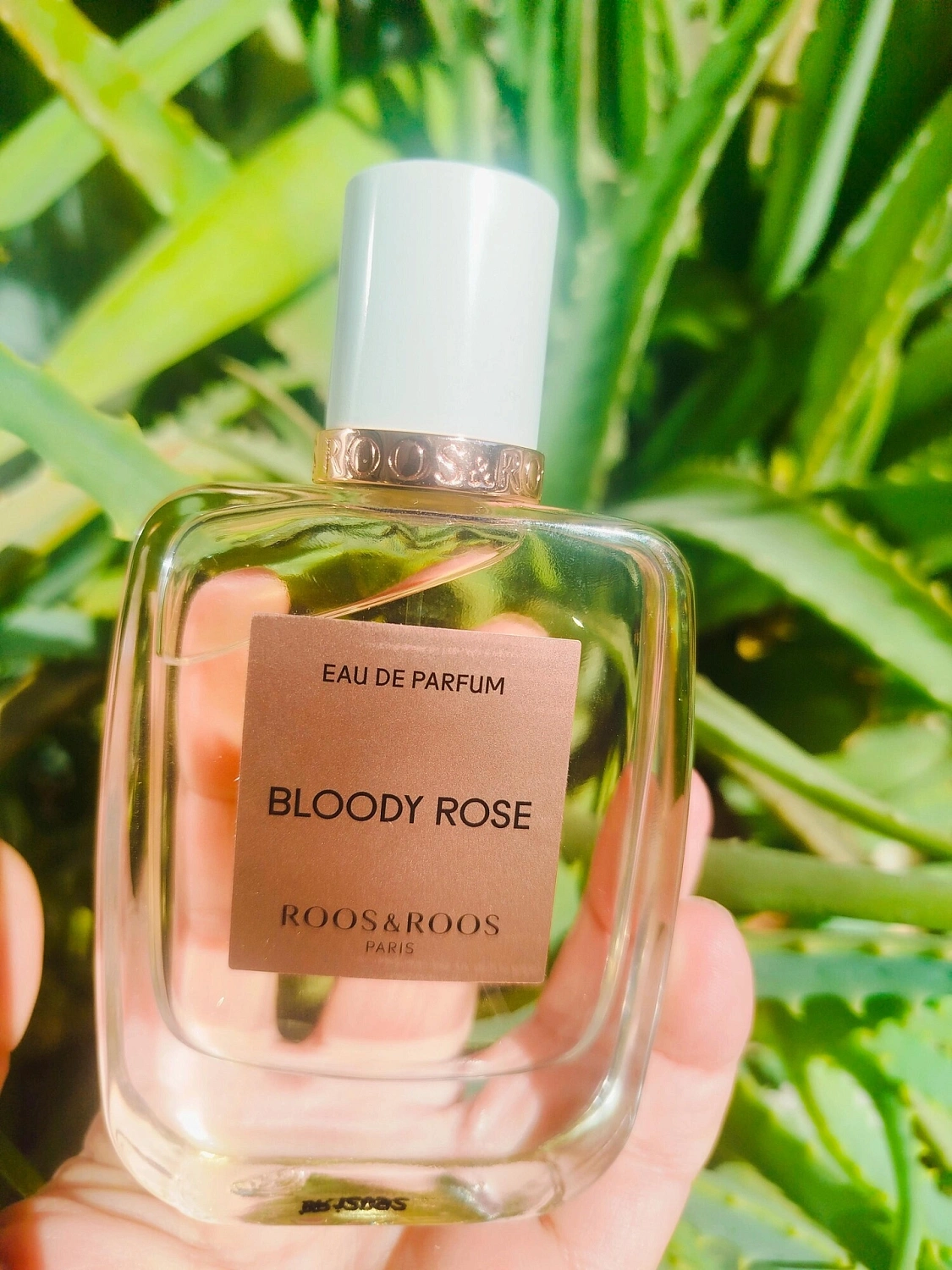 Roos & Roos Bloody Rose