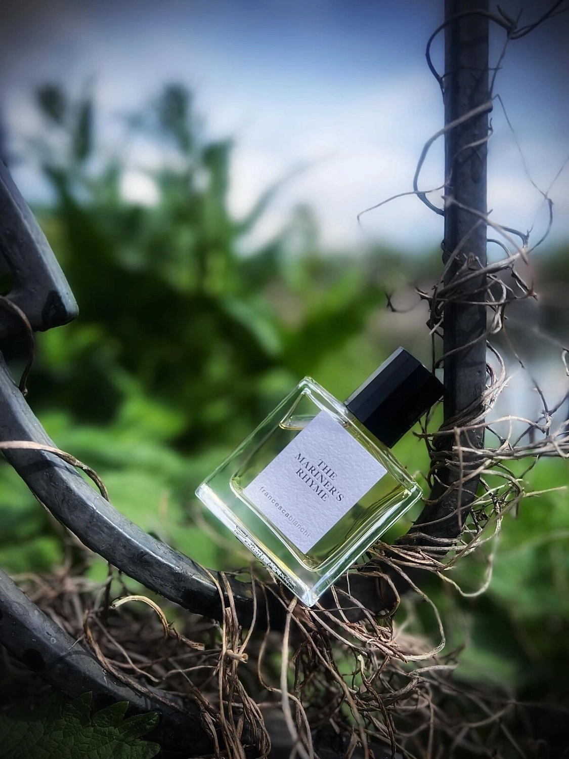 Francesca Bianchi The Mariner's Rhyme