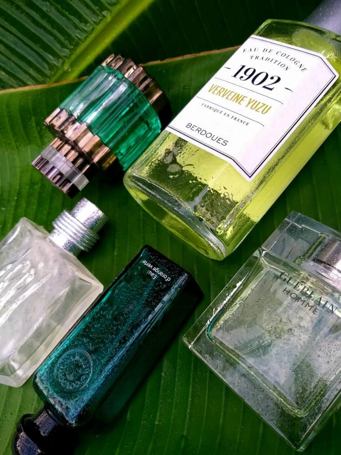 Jesus Del Pozo Quasar