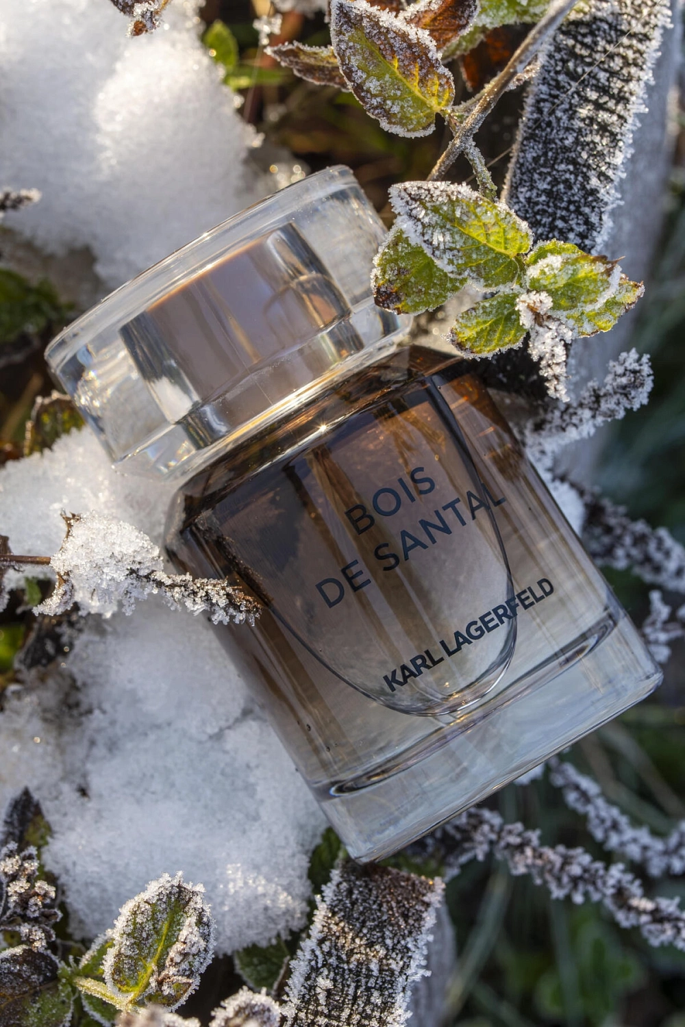 Karl Lagerfeld Bois de Santal