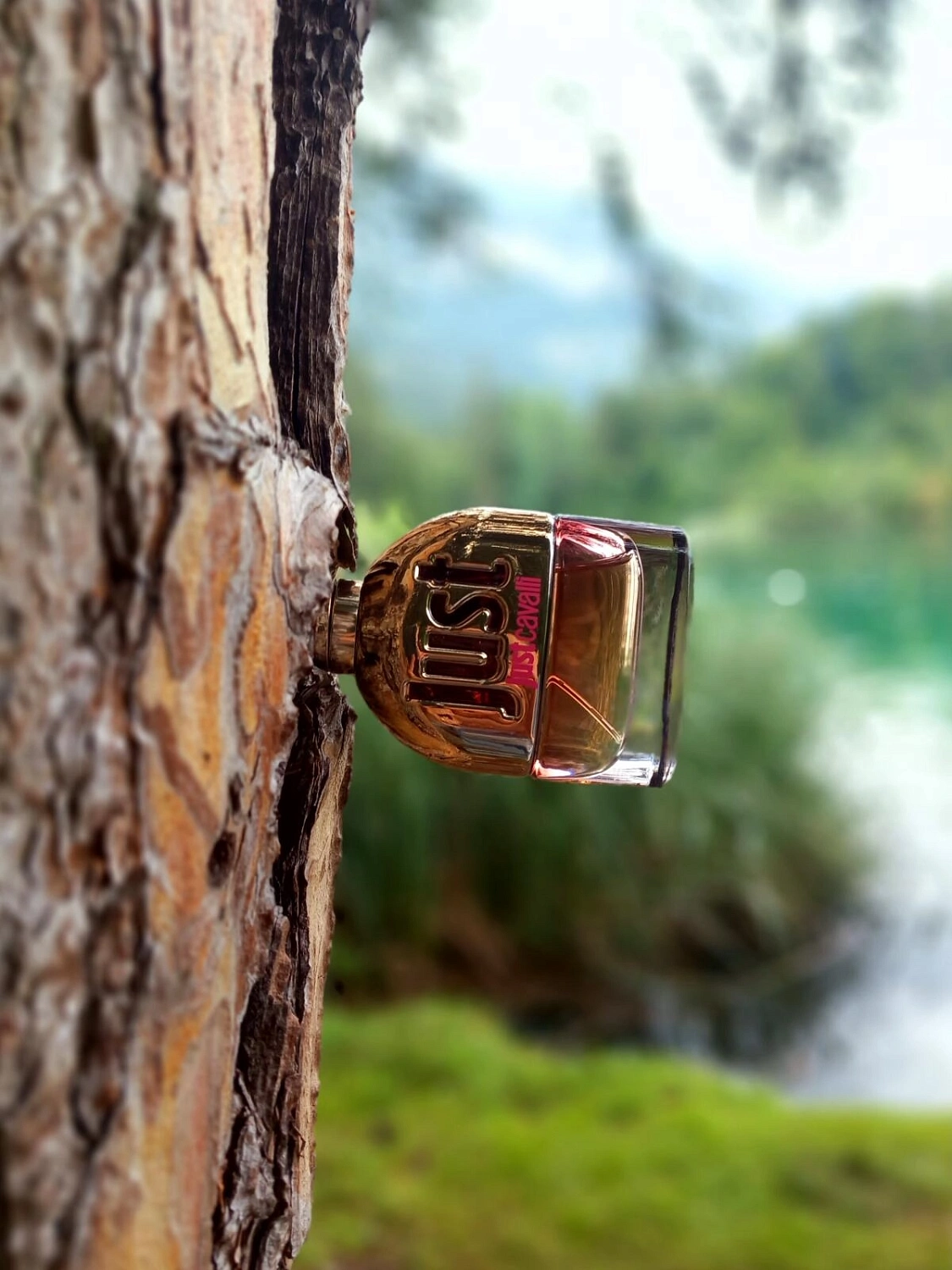 Roberto Cavalli Just Cavalli 2013