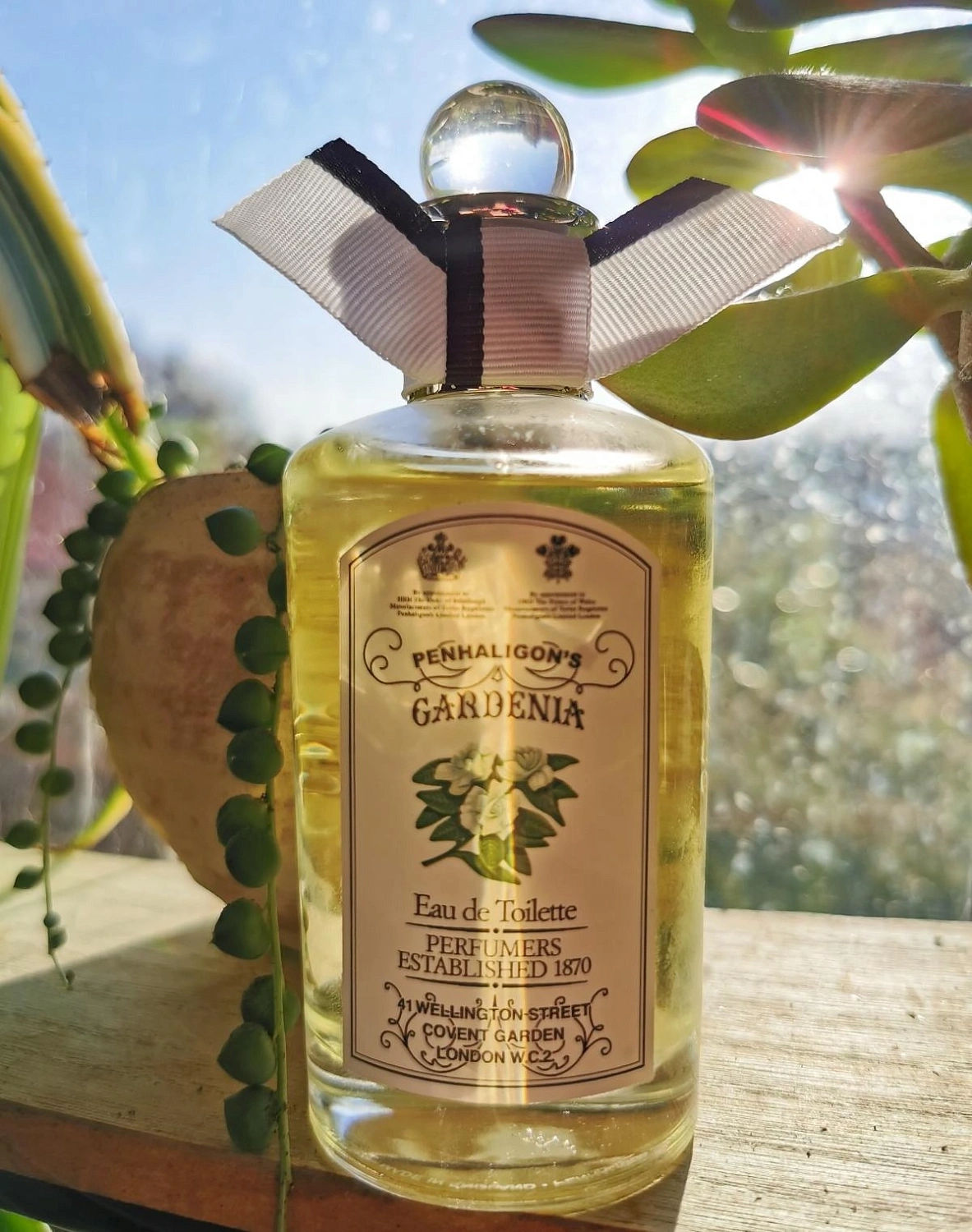 Penhaligon`s Anthology Gardenia
