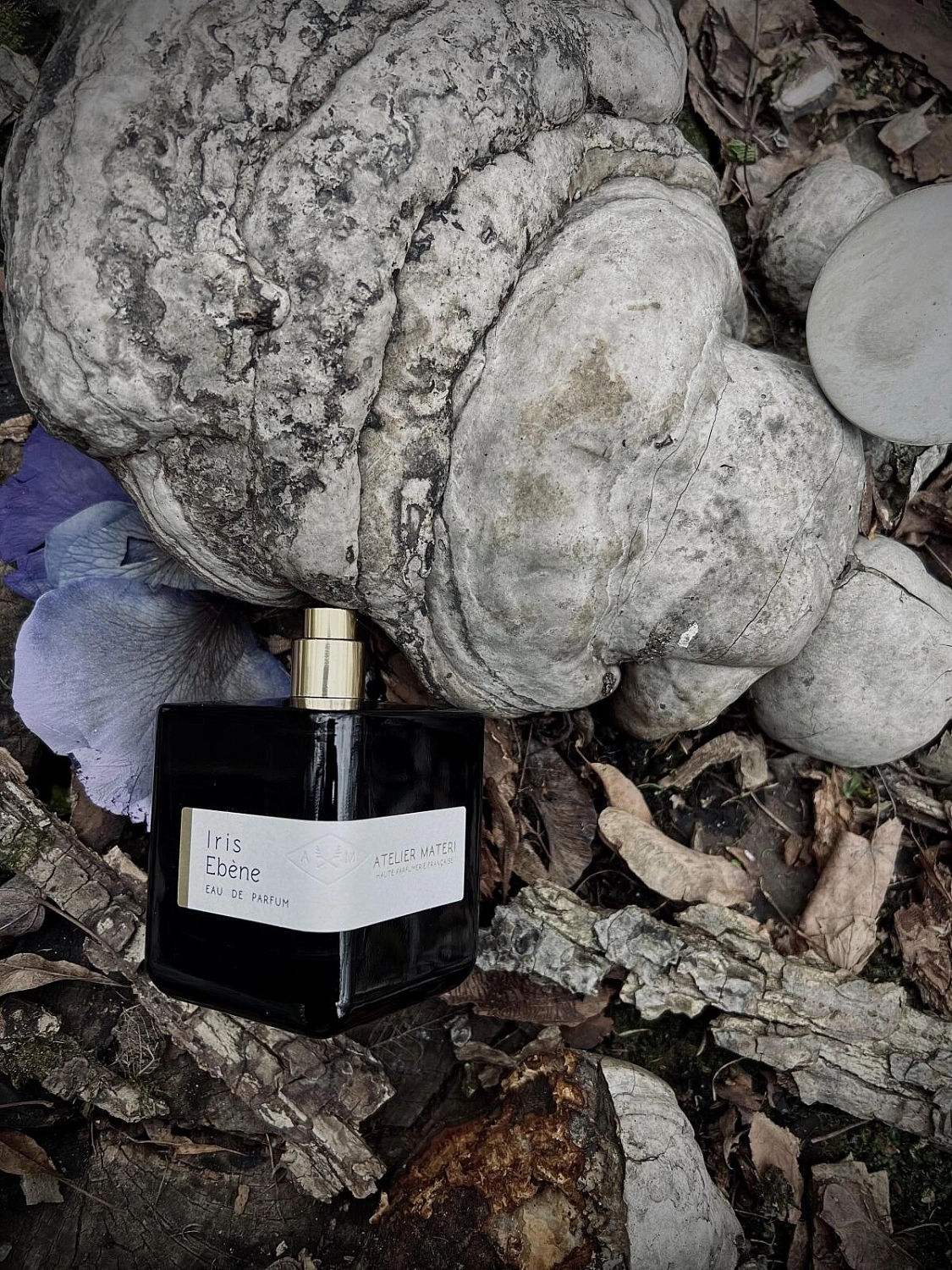 Atelier Materi Iris Ebene