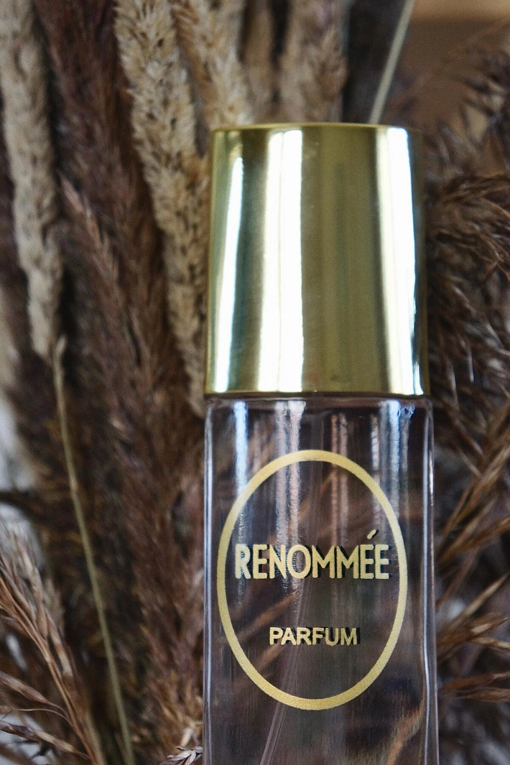 Novaya Zarya (Новая Заря) Реноме (Renommee)