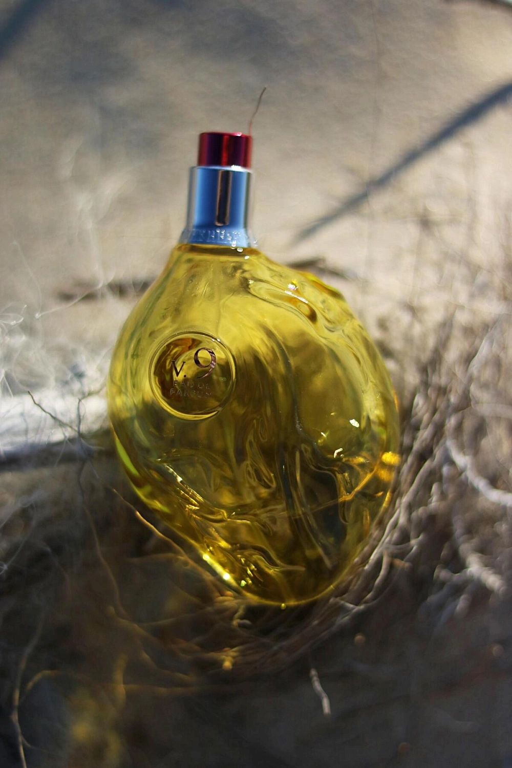 Map Of The Heart Wonder V.9