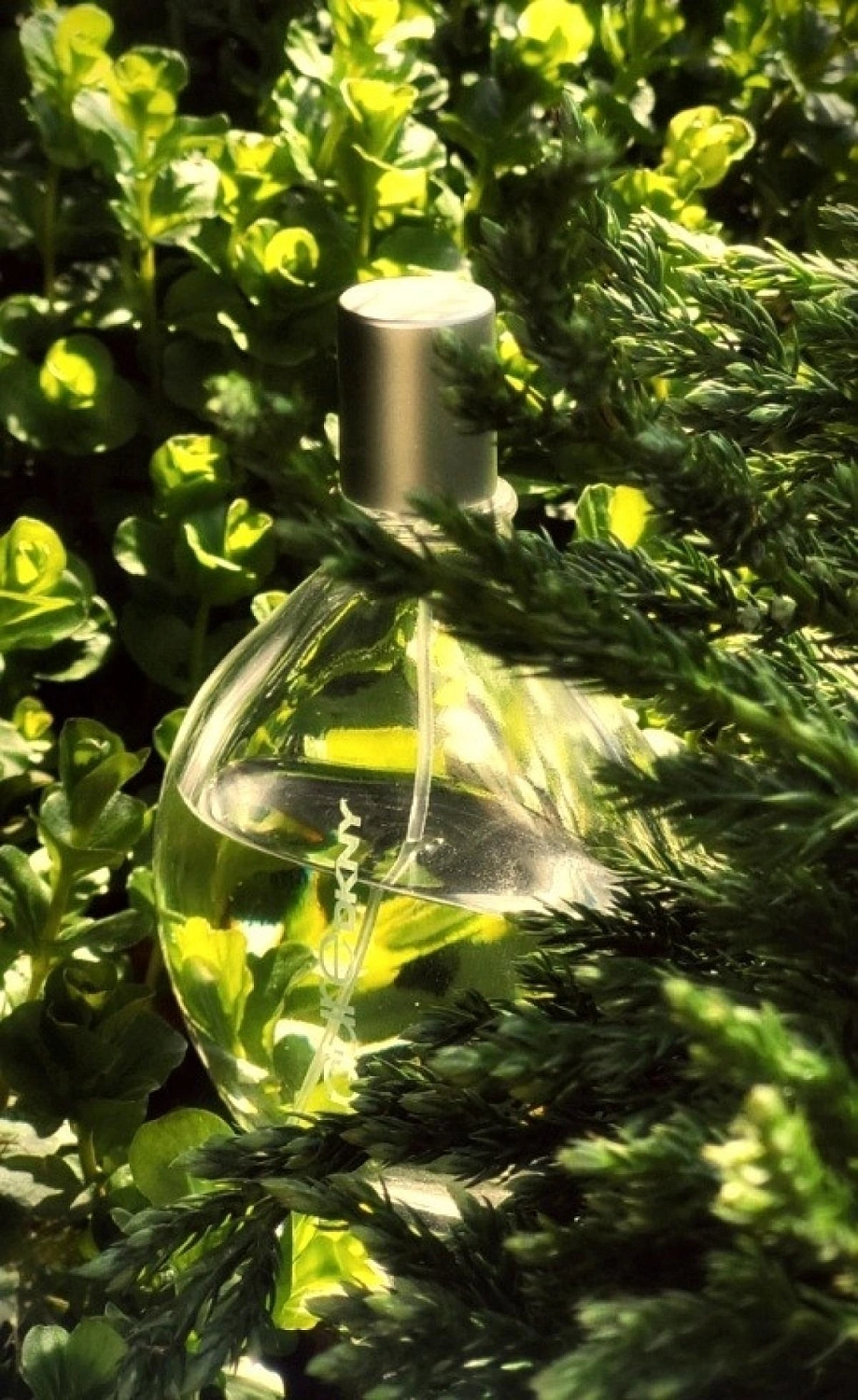 Pure DKNY A Drop of Verbena