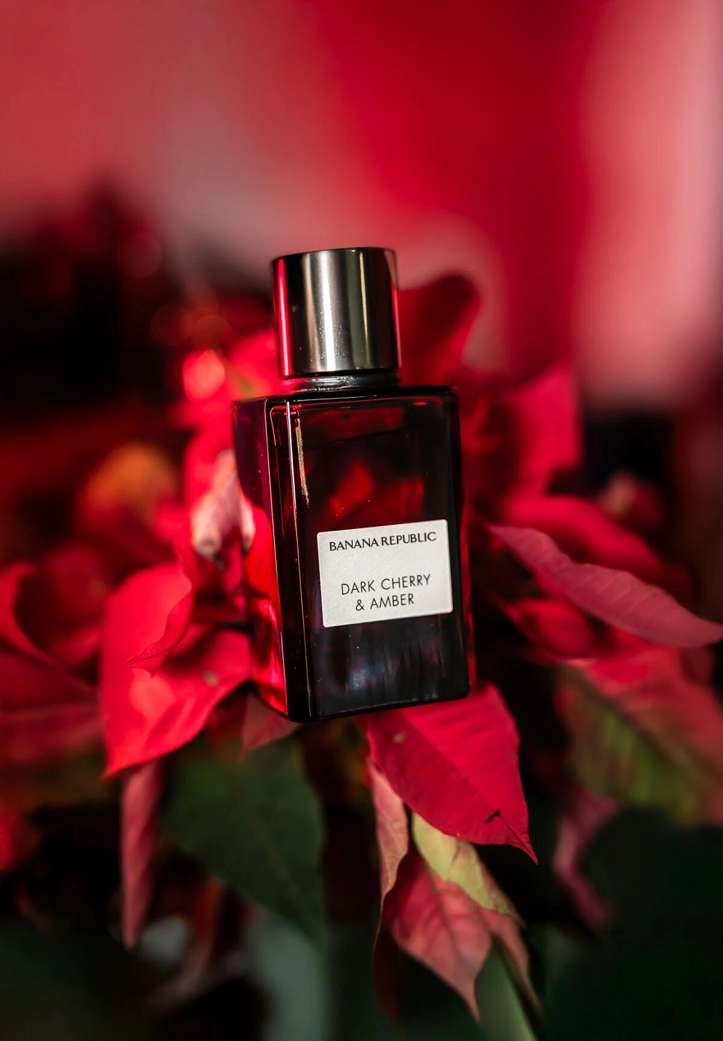 Banana Republic Dark Cherry & Amber Banana Republic Dark Cherry & Amber
