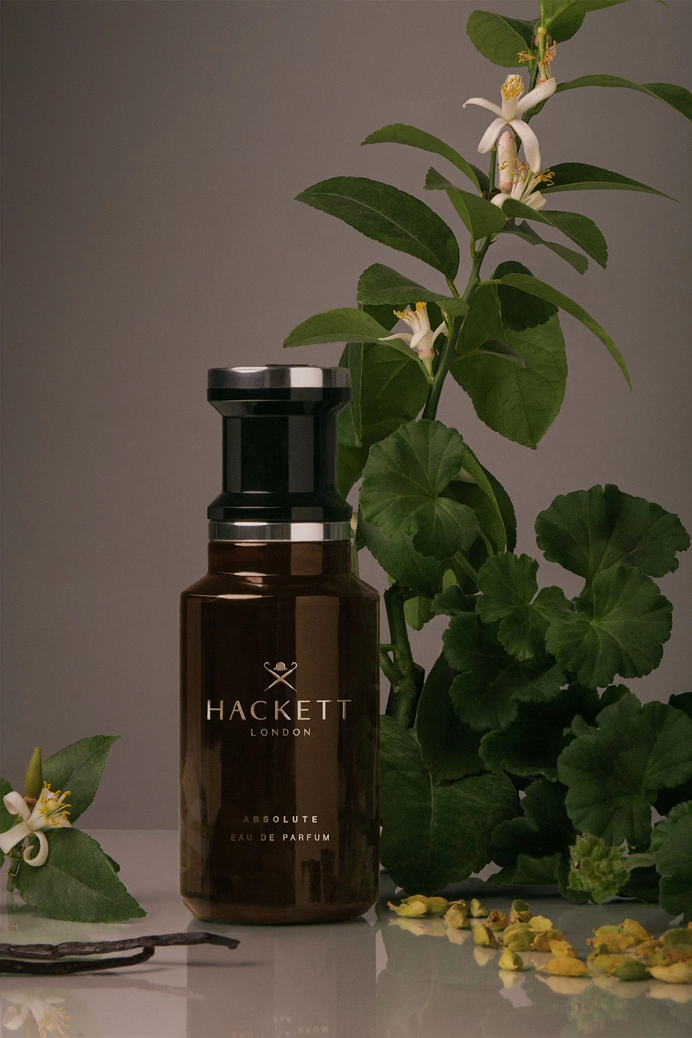 Hackett London Absolute Hackett London Absolute