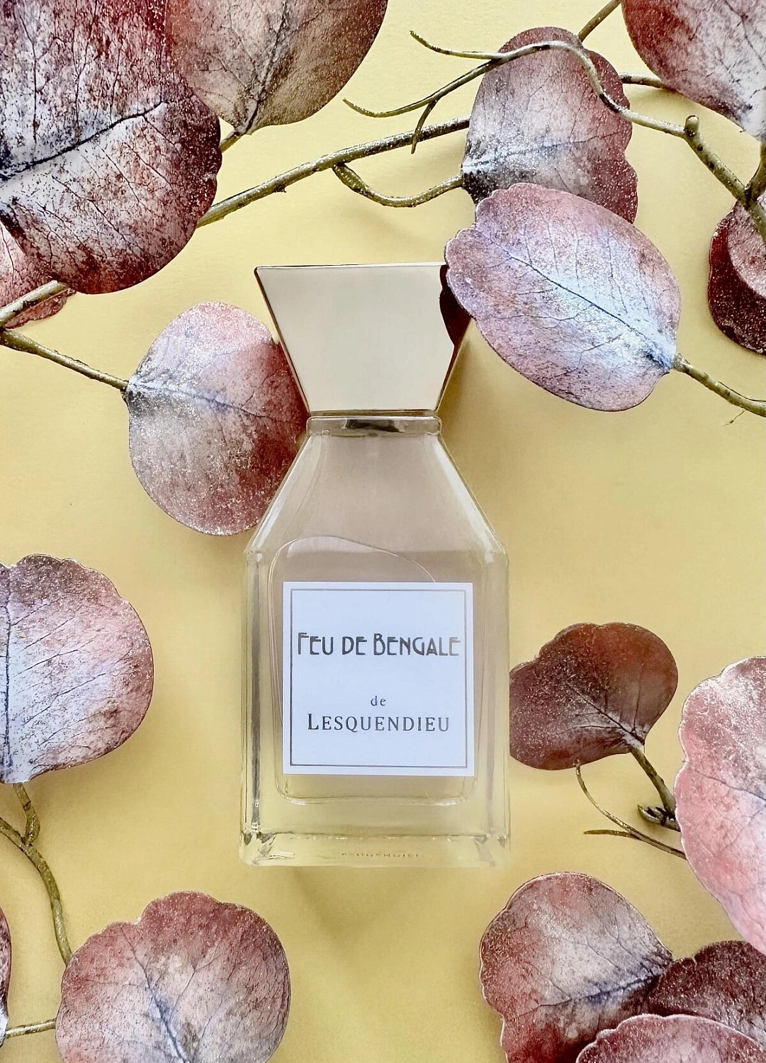 Lesquendieu Feu De Bengale
