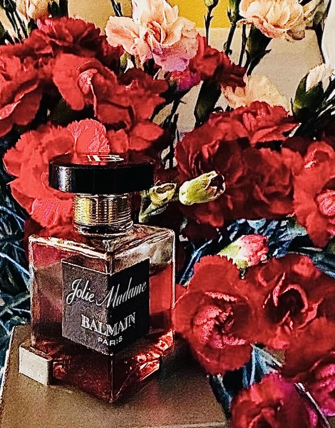 Balmain Jolie Madame