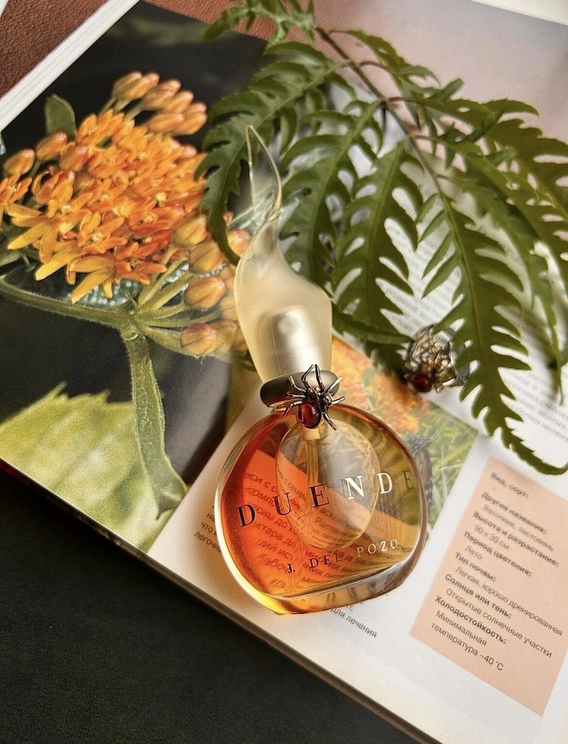 Jesús del Pozo Duende