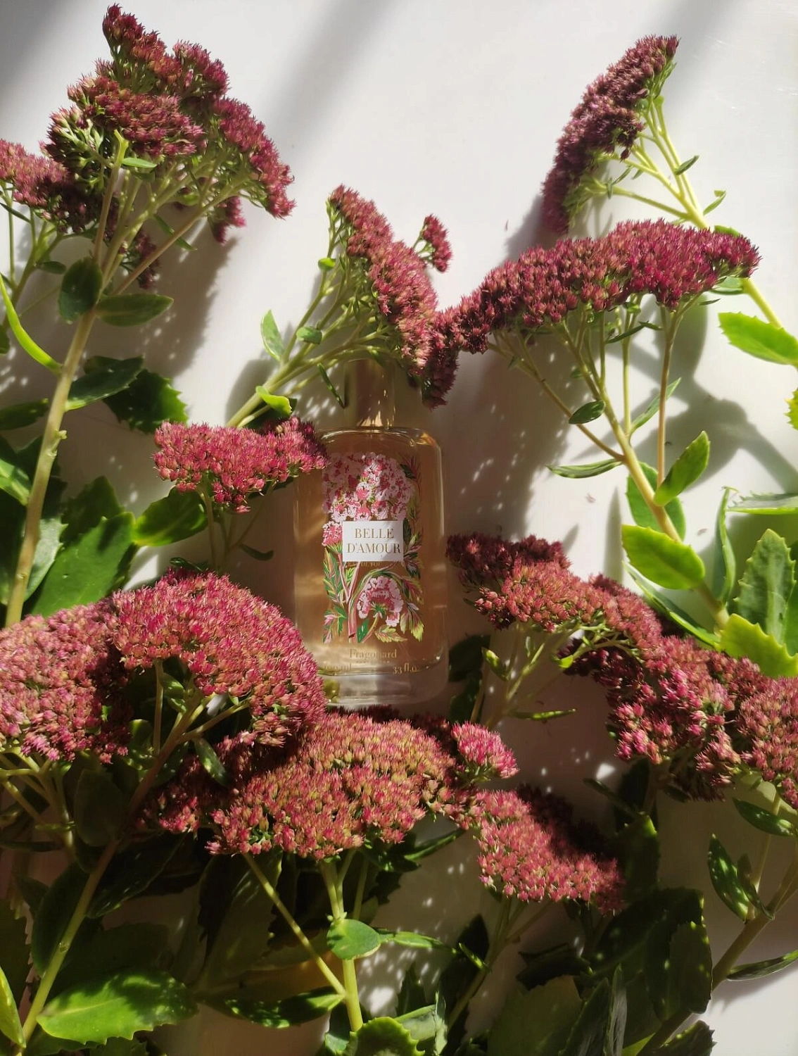 Fragonard Belle d'Amour