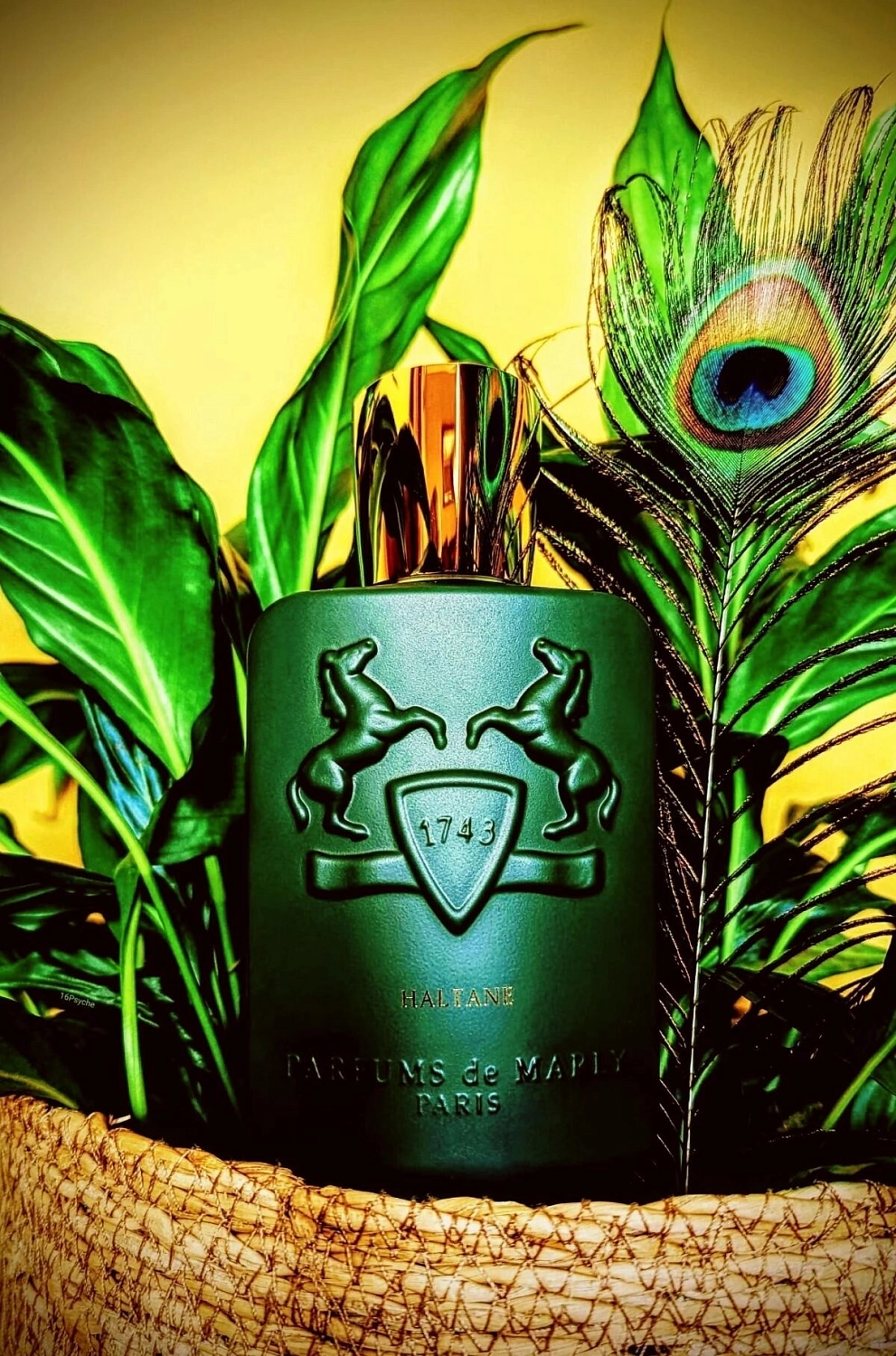 Parfums de Marly Haltane