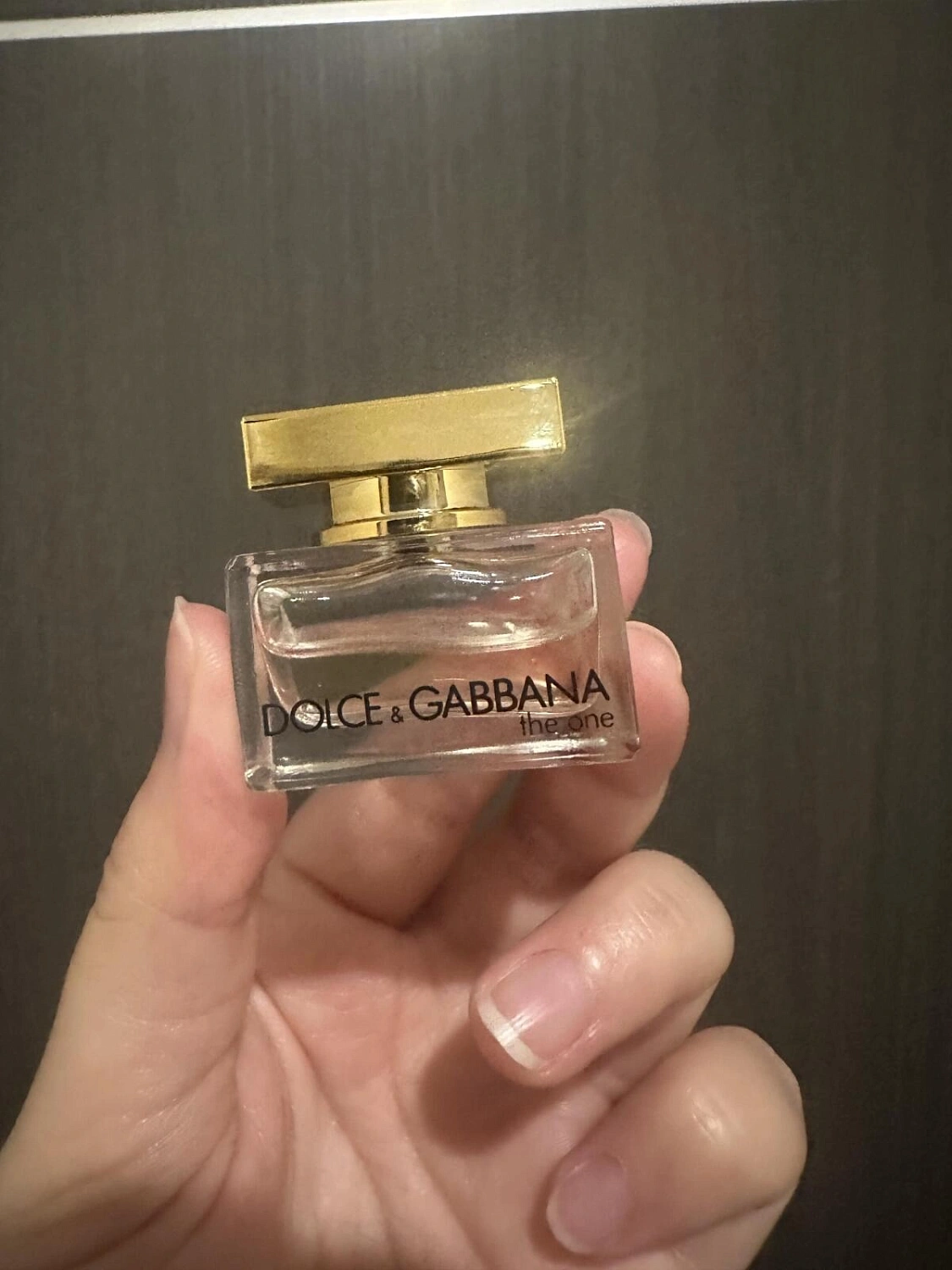 DOLCE & GABBANA The One