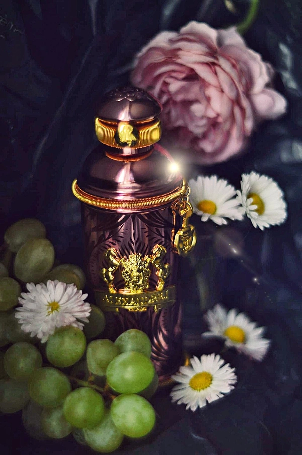 Alexandre J Zafeer Morning Muscs