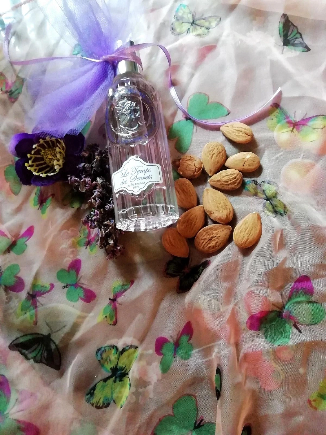 Jeanne en Provence Le Temps des Secrets