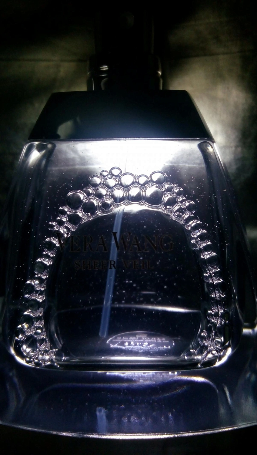 Vera Wang Sheer Veil