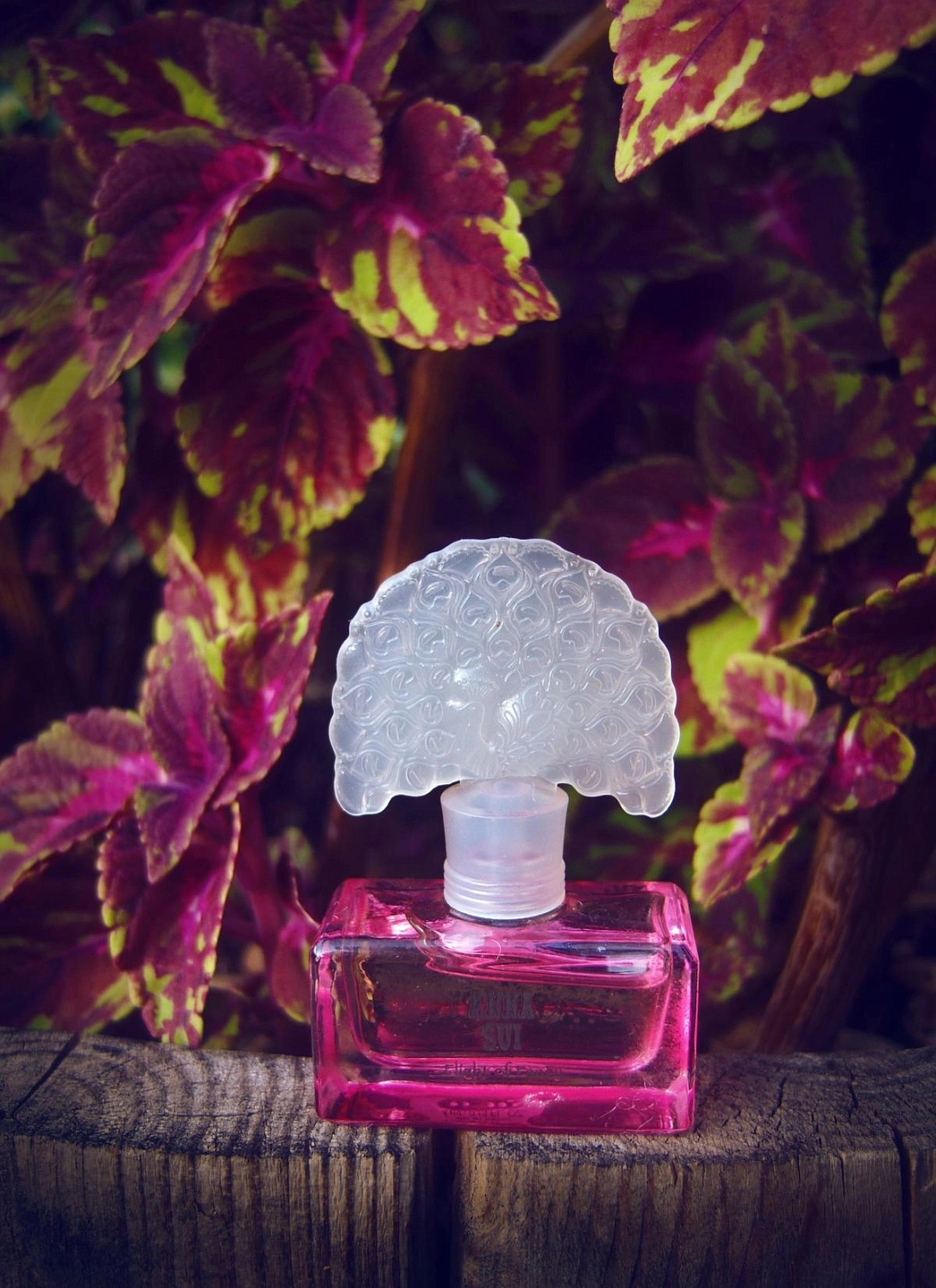 ANNA SUI Flight of Fancy