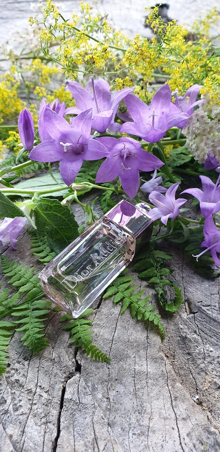 Christian Dior Dior Addict Shine Christian Dior Dior Addict Shine