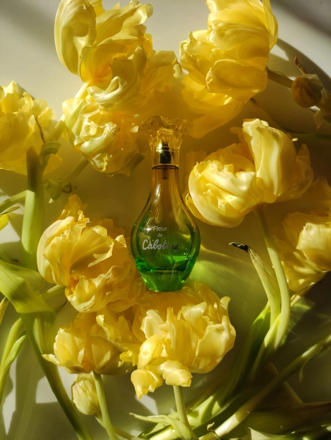 Gres Fleur De Cabotine