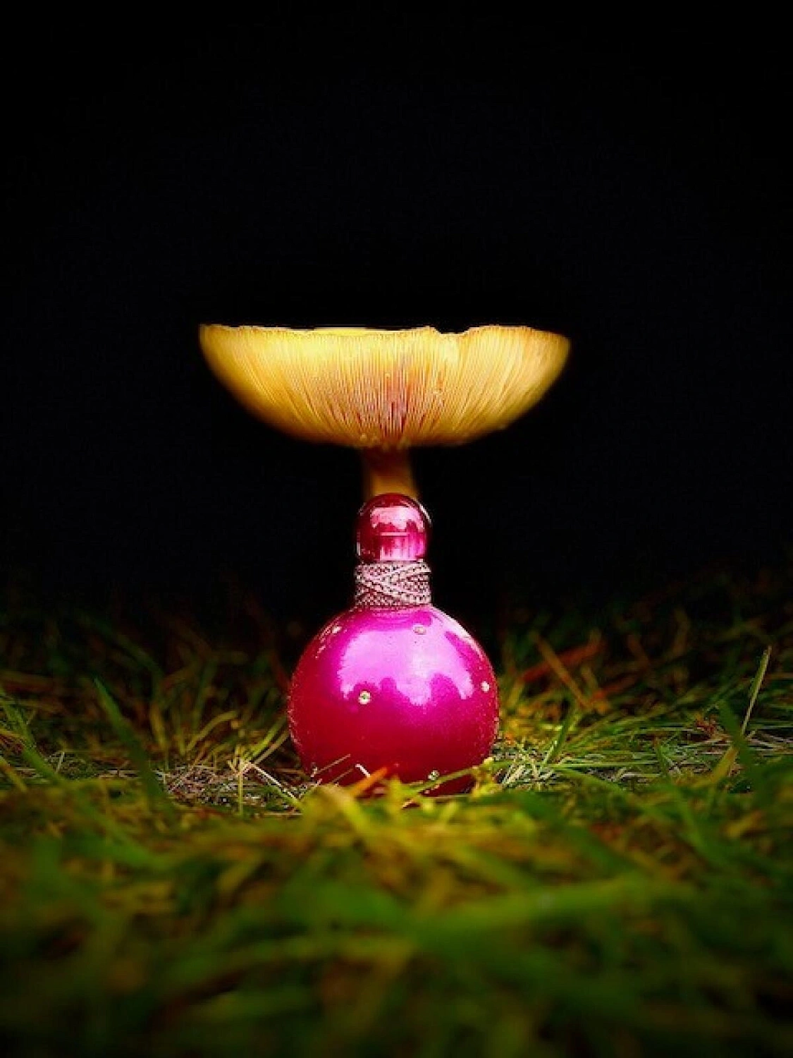 Britney Spears Fantasy Britney Spears Fantasy